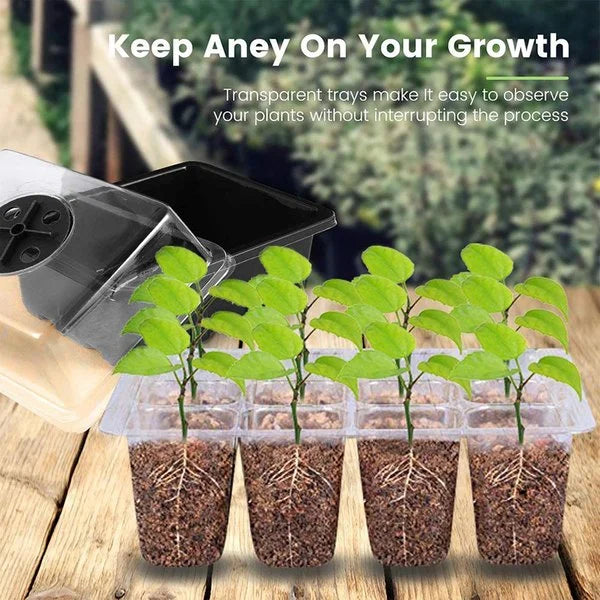 Last Day Sale 50% OFF 💥GrowGlow™ Starter - Seed Trays with Grow Light