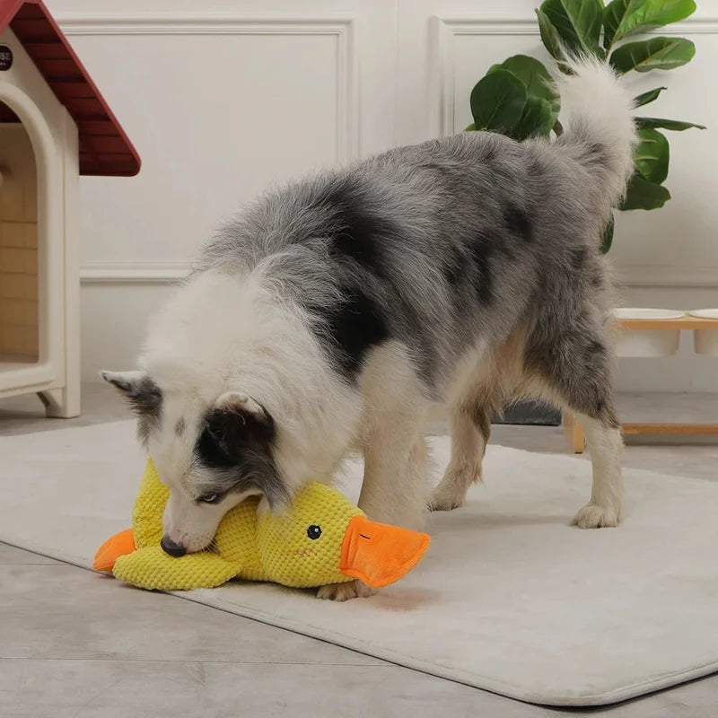 Offer While Stocks Last💥DuckWag™ Plush Pup Toy