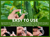 Buy 50, Get 50 Extra Free💥GrowGuard Plant Clips - Secure Support for Your Plants