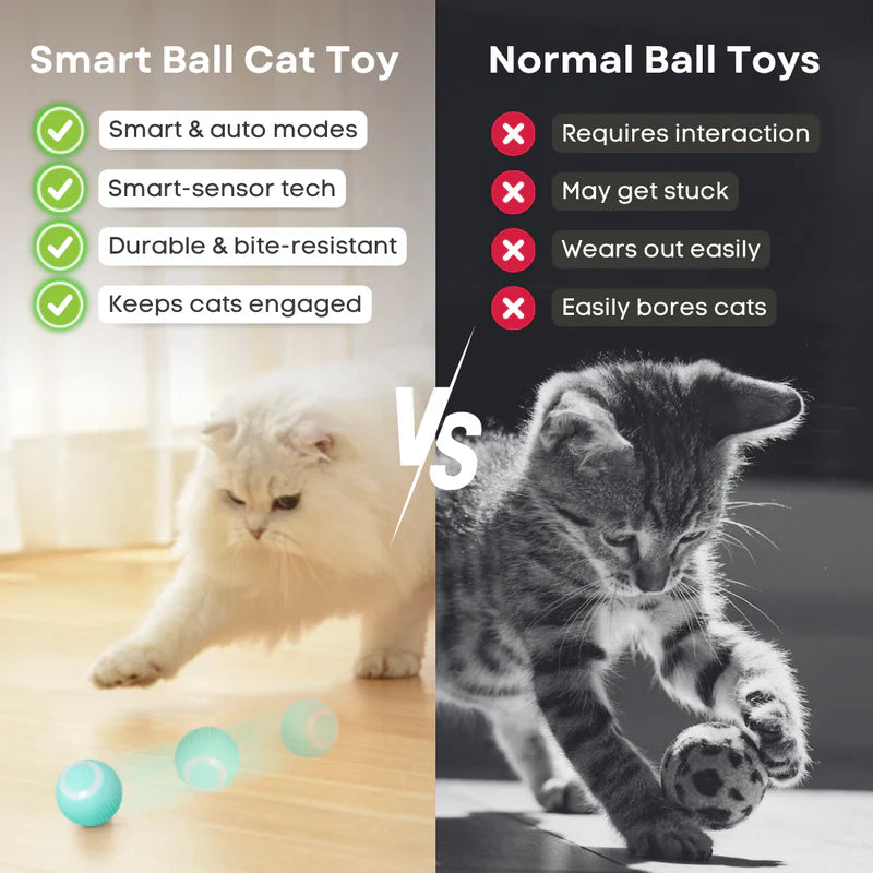 Smart Ball Cat Toy