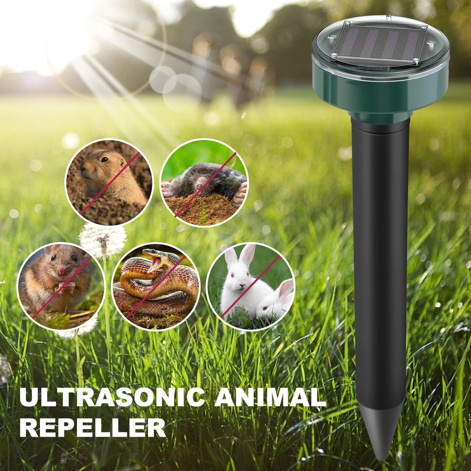 Buy 4, Get 1 Extra Free💥SunGuard™  Animal Repeller - 24Hour Ultrasonic Deterrent