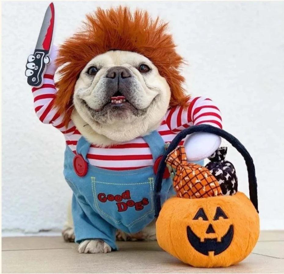 Halloween Chucky Dog - Funny Deadly Killer Dog Costume [OFFER WHILE STOCKS LAST -50% OFF]