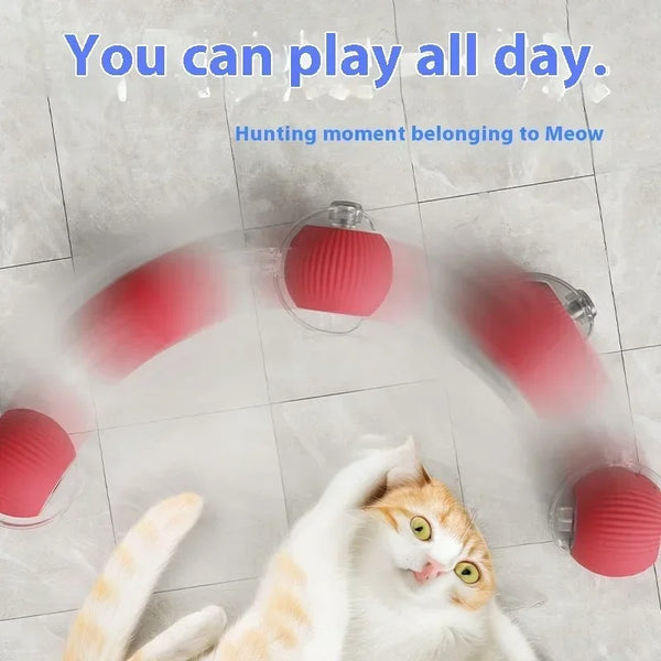 Pre-Black Friday Sale💥Automatic Rolling Ball - Cat Training