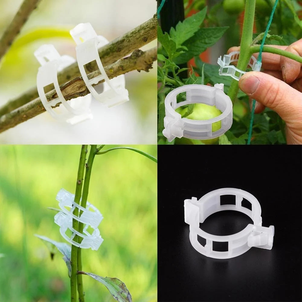 Buy 50, Get 50 Extra Free💥GrowGuard Plant Clips - Secure Support for Your Plants