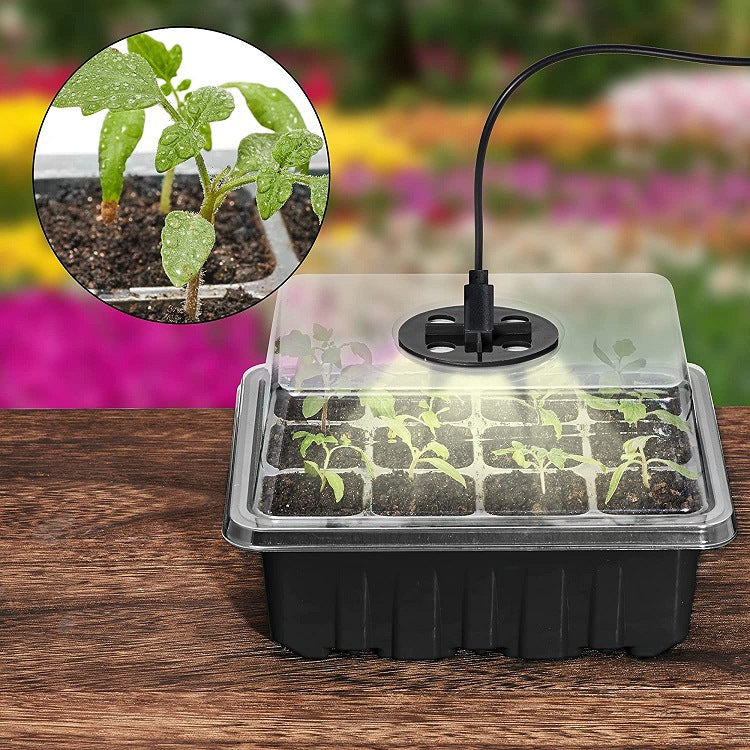 Last Day Sale 50% OFF 💥GrowGlow™ Starter - Seed Trays with Grow Light