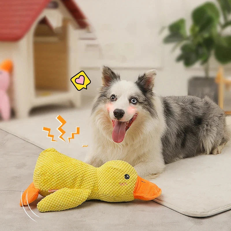 Offer While Stocks Last💥DuckWag™ Plush Pup Toy