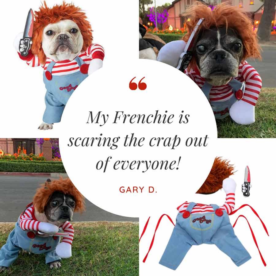 Halloween Sale 50% OFF💥Halloween Chucky Dog